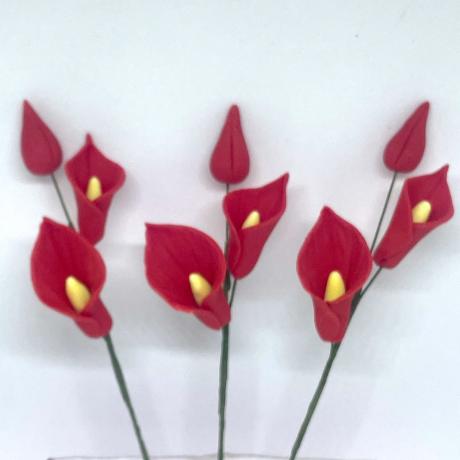 Red Calla Lily Stems