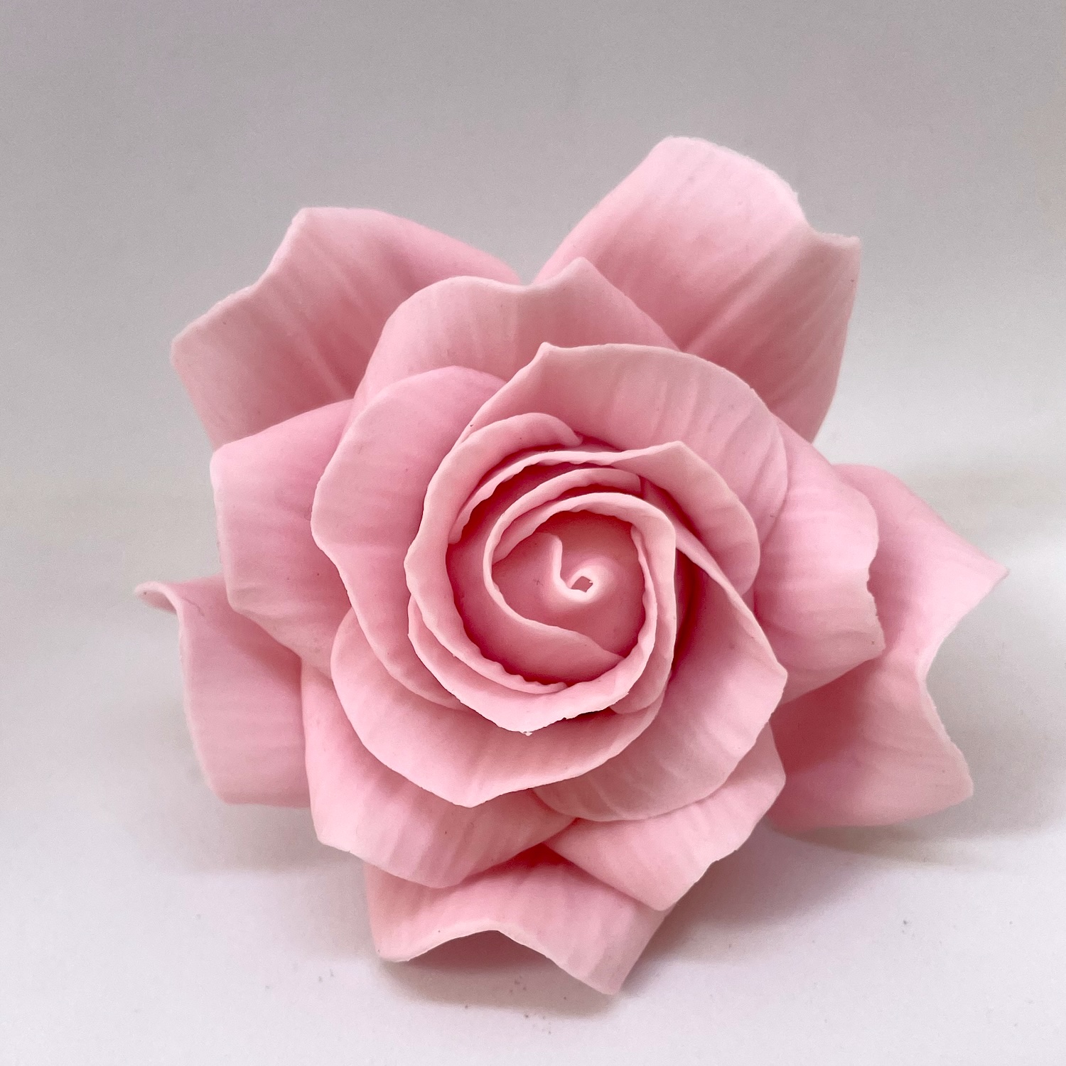 Giant Pale Dusky Pink Sugar Rose