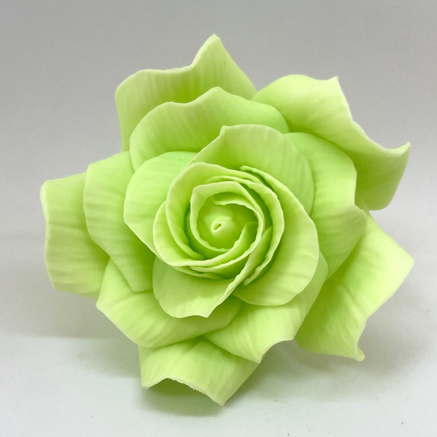 Giant Green Sugar Rose