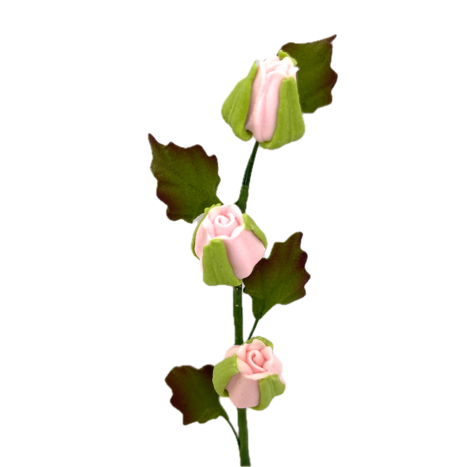 Pink Rose Bud Trails
