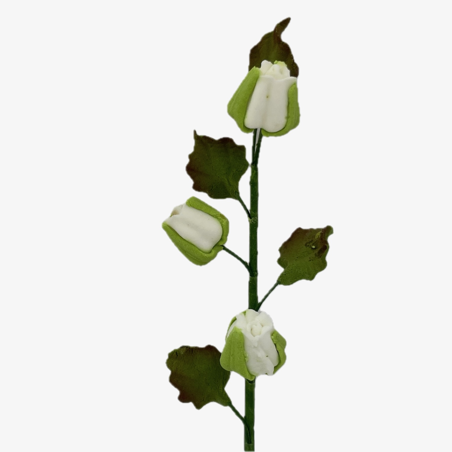 White Rose Bud Trail