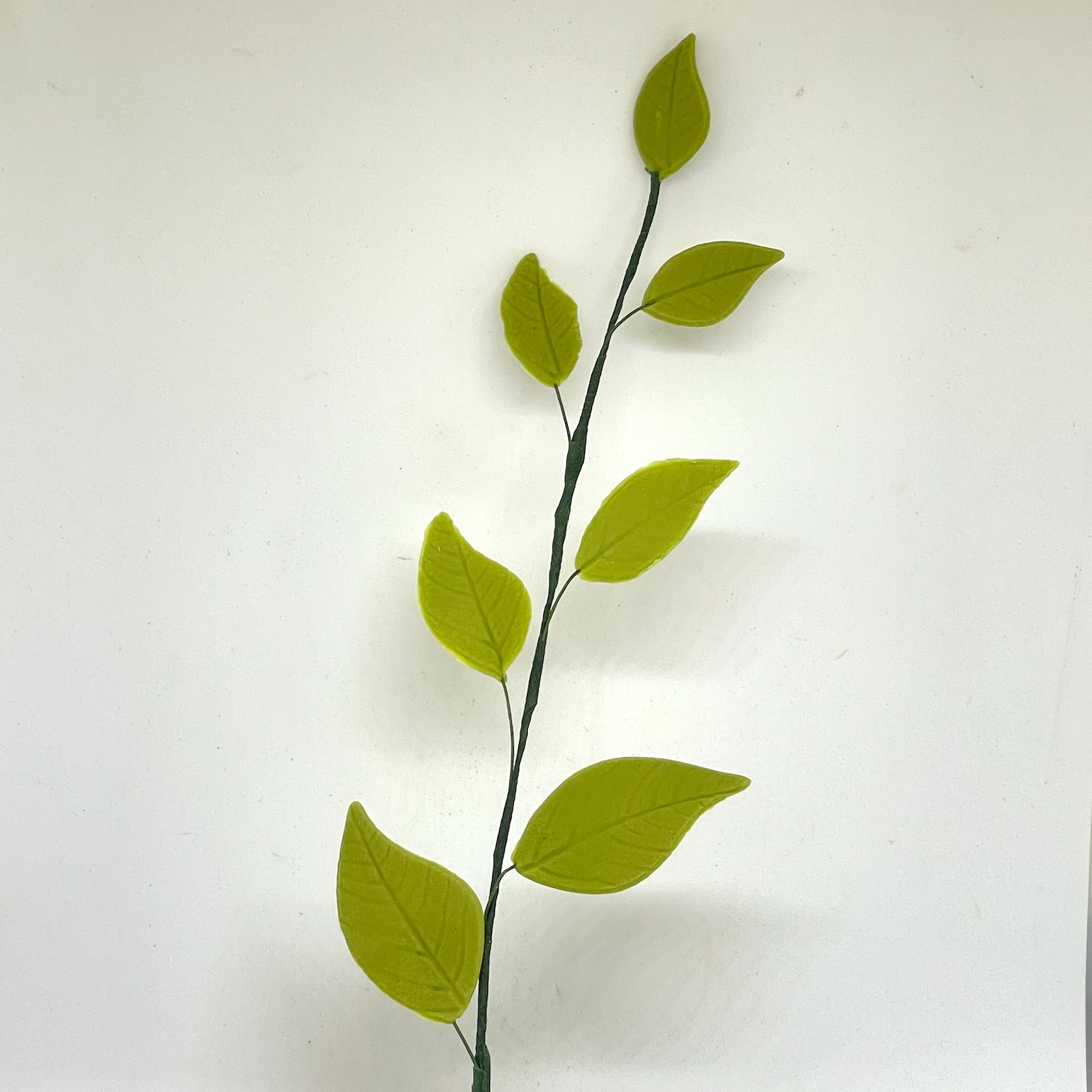 Trailing Green Sugar Leaves