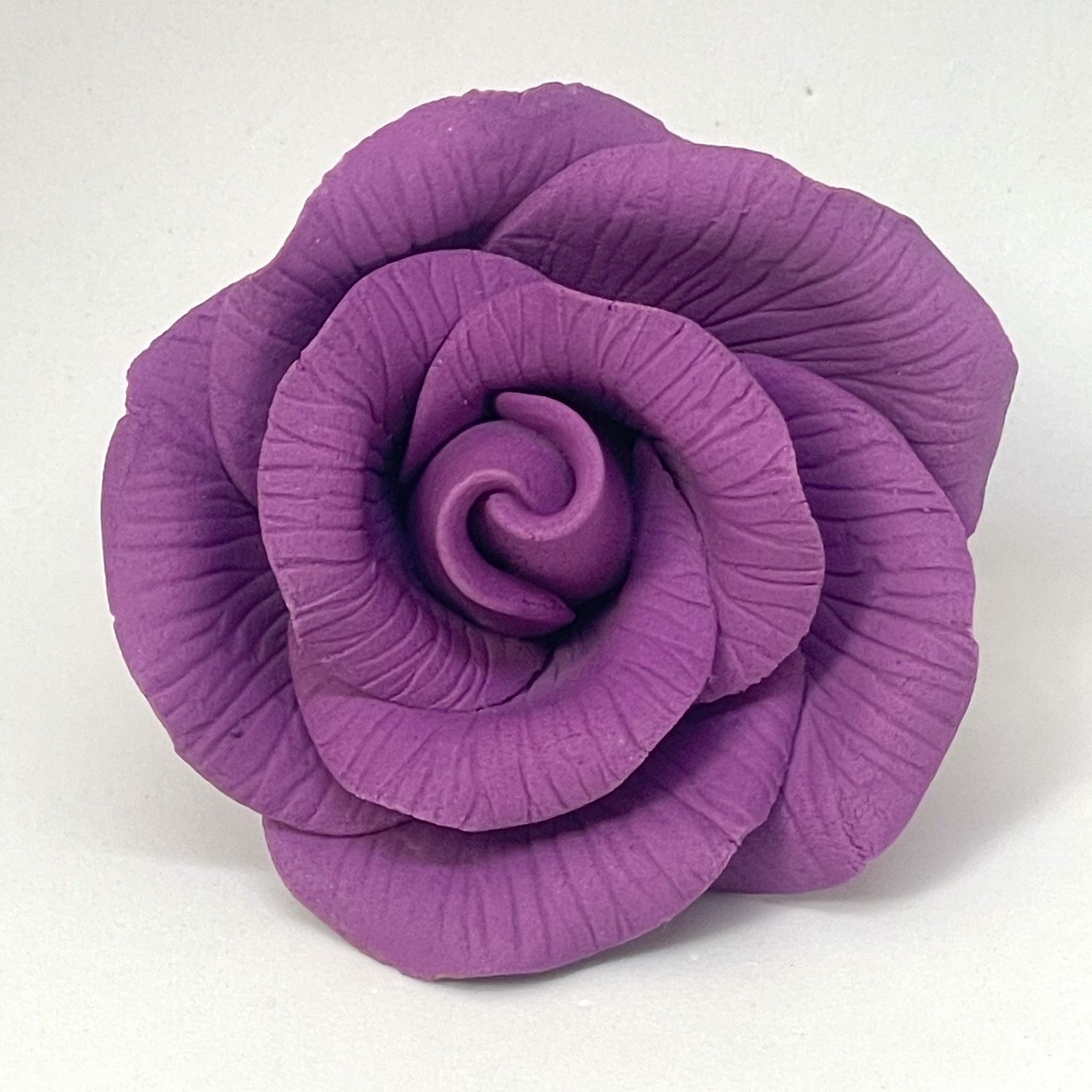 Purple Peace Rose