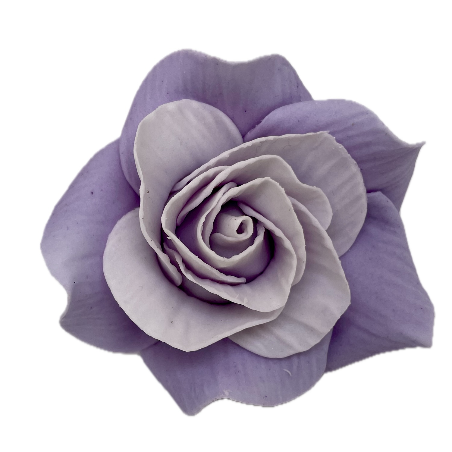 Giant 2 Tone Lilac/Purple Rose