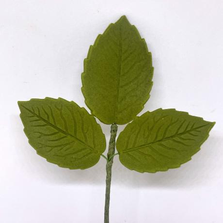 Sugar Rose Leaves