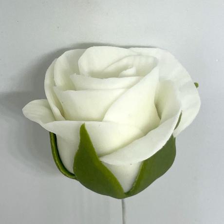 White Sugar Rose