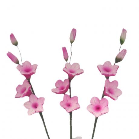 Two Tone Hot Pink Filler Sprays