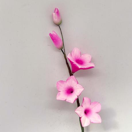 Two Tone Pink Filler Spray