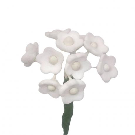 Sugar Forget-Me-Nots