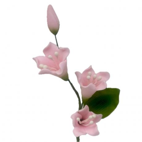 Pink Freesia Spray