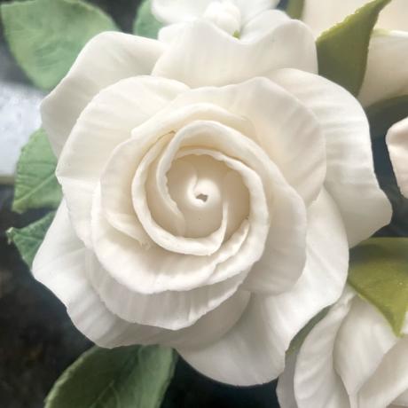 White Sugar Roses