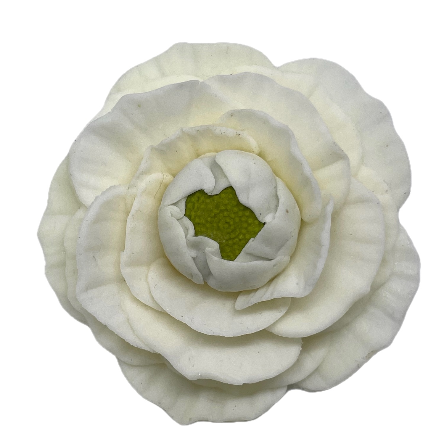 Large Sugar Ranunculus Flowers