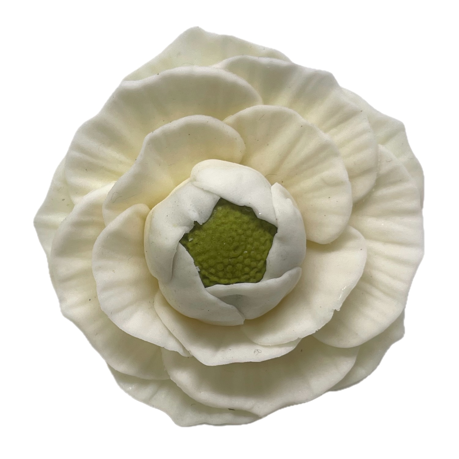 Medium Sugar Ranunculus Flower