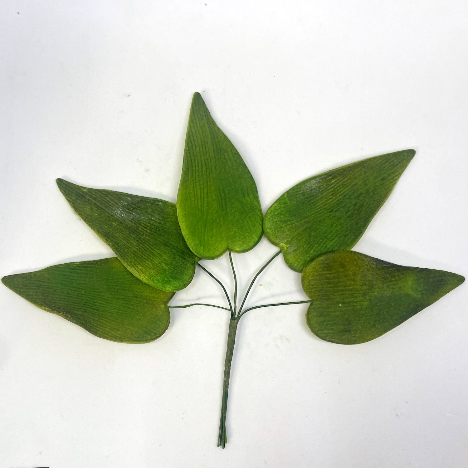 Sugar Calla Lily Leaves