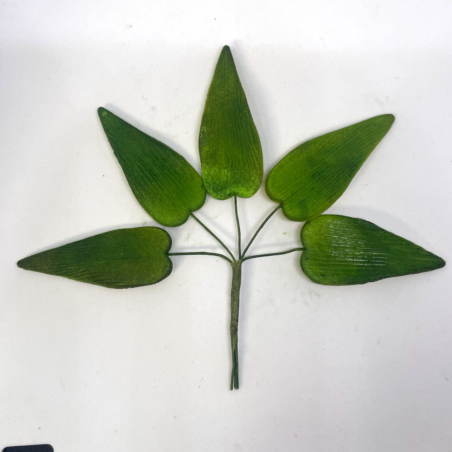 Small Calla Lily Leaves
