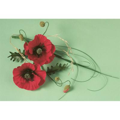Sugarcraft Poppies
