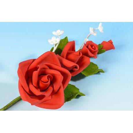 Red Rose
