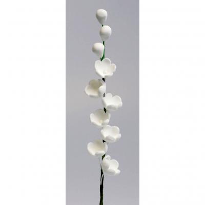 Lily Of The Valley