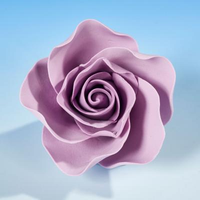 Lilac Open T Rose
