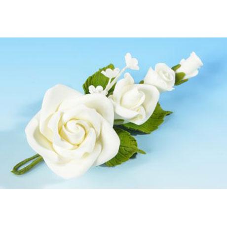 White Rose