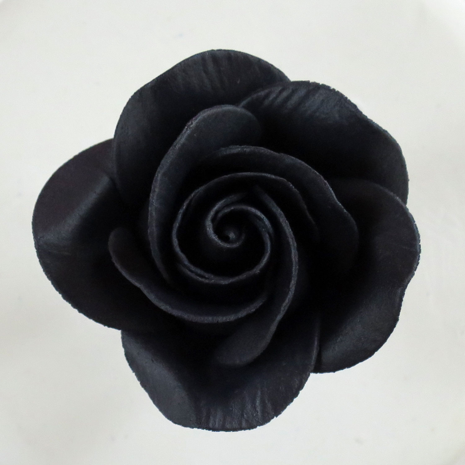 Large Black Rose