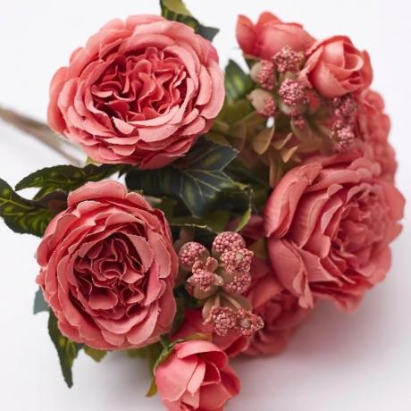 Blush Peony rose Flowers