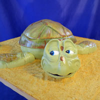 cat-turtle-birthday-cake.jpg