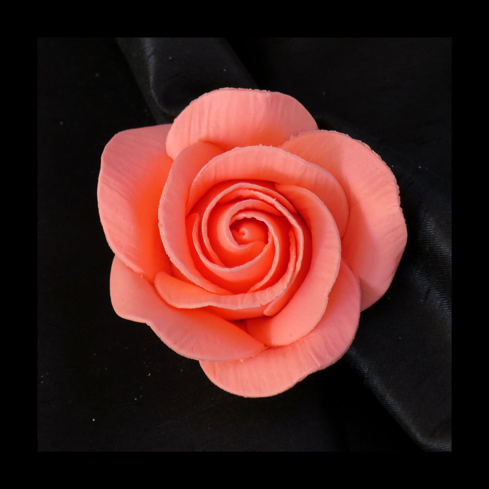 Coral Sugar Rose