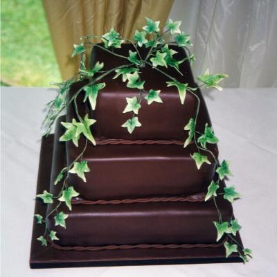 Three tier Chocolate Cake with Sugar Ivy