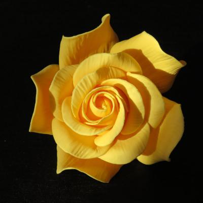 Giant Yellow Sugar Rose