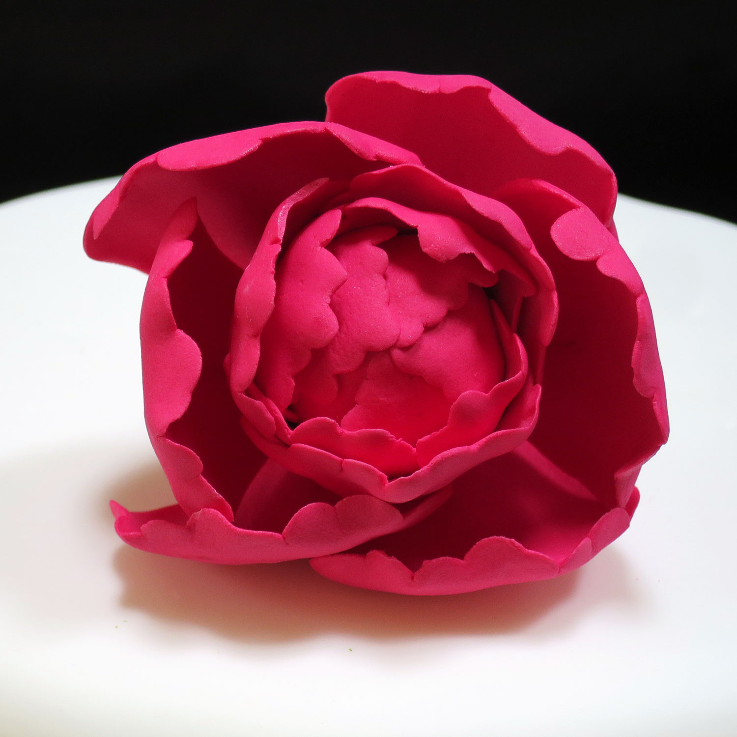 Cerise Peony Rose Head
