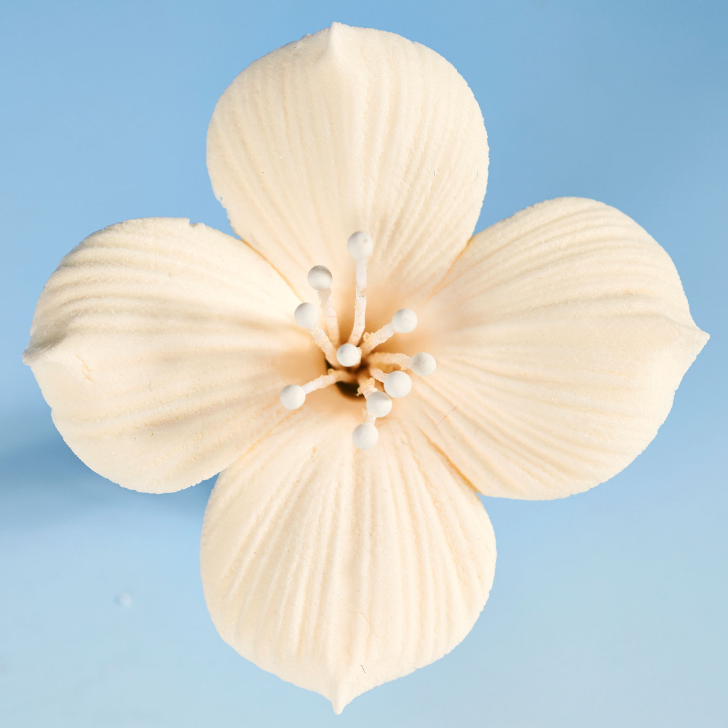 Ivory Dogwood Flower