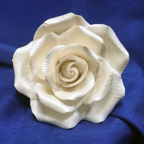 Giant Pearl Sugar Rose