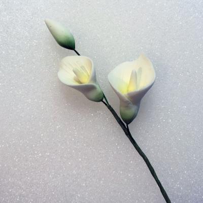 Petite Calla Lily Spray