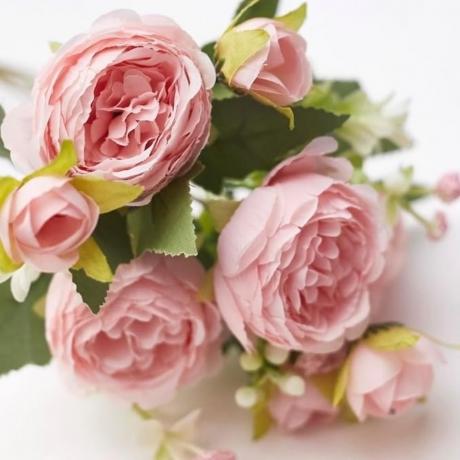 Pink Silk Peonies
