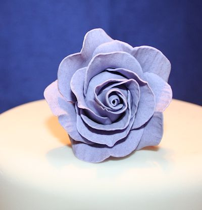 Large Lilac Sugar Rose