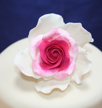 Giant Sugar Roses