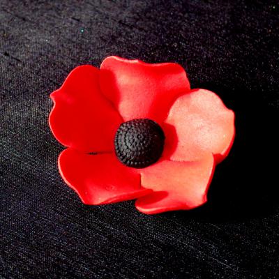Red Sugar Poppy