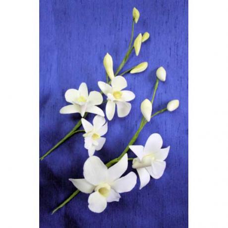 Sugar Dendrodium Orchids made with these cutters