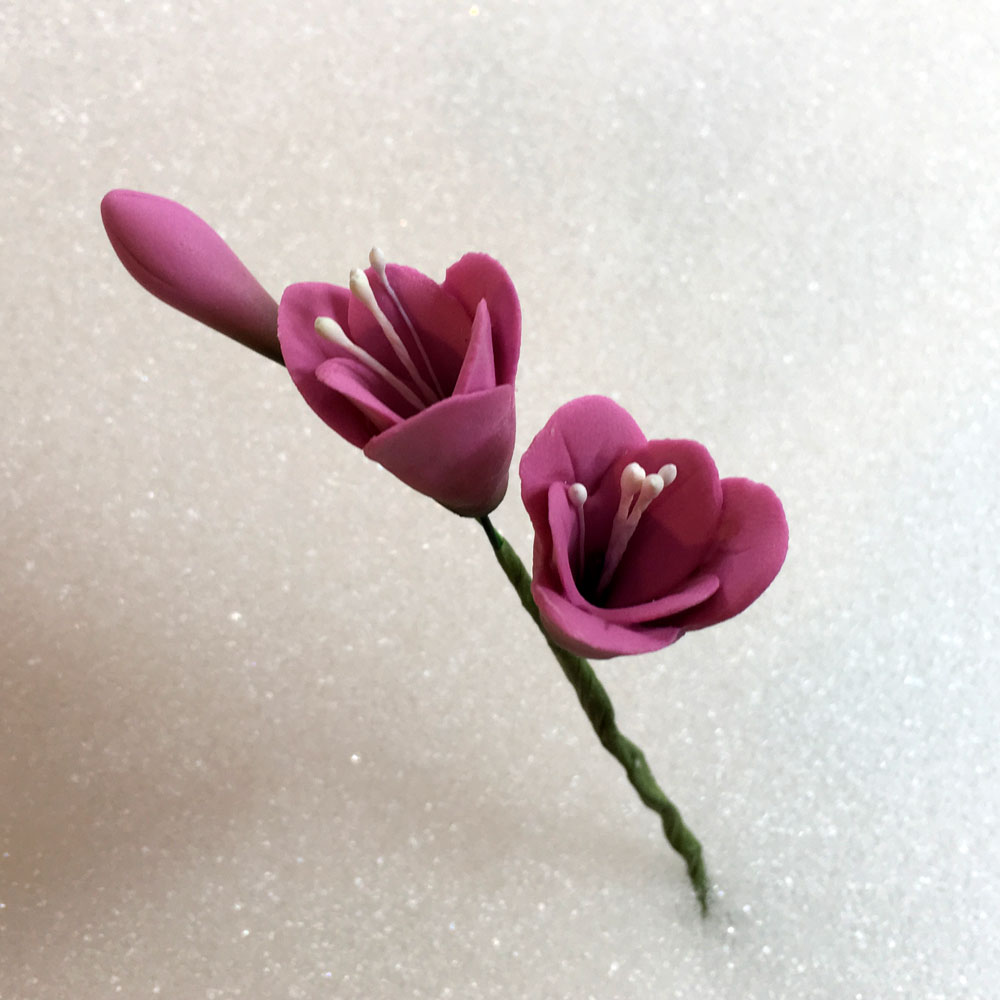Pink Freesia Stem