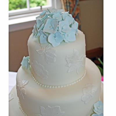 Lustre Finish Edible Lace Icing
