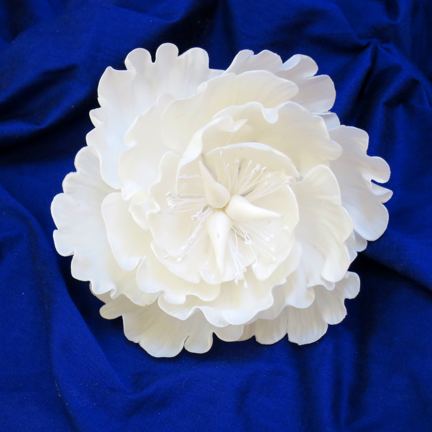 White Peony Rose