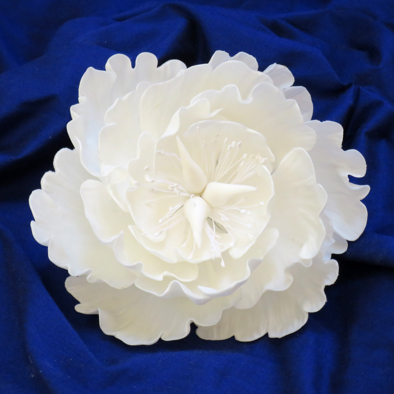 Giant White Peony Sugar Rose